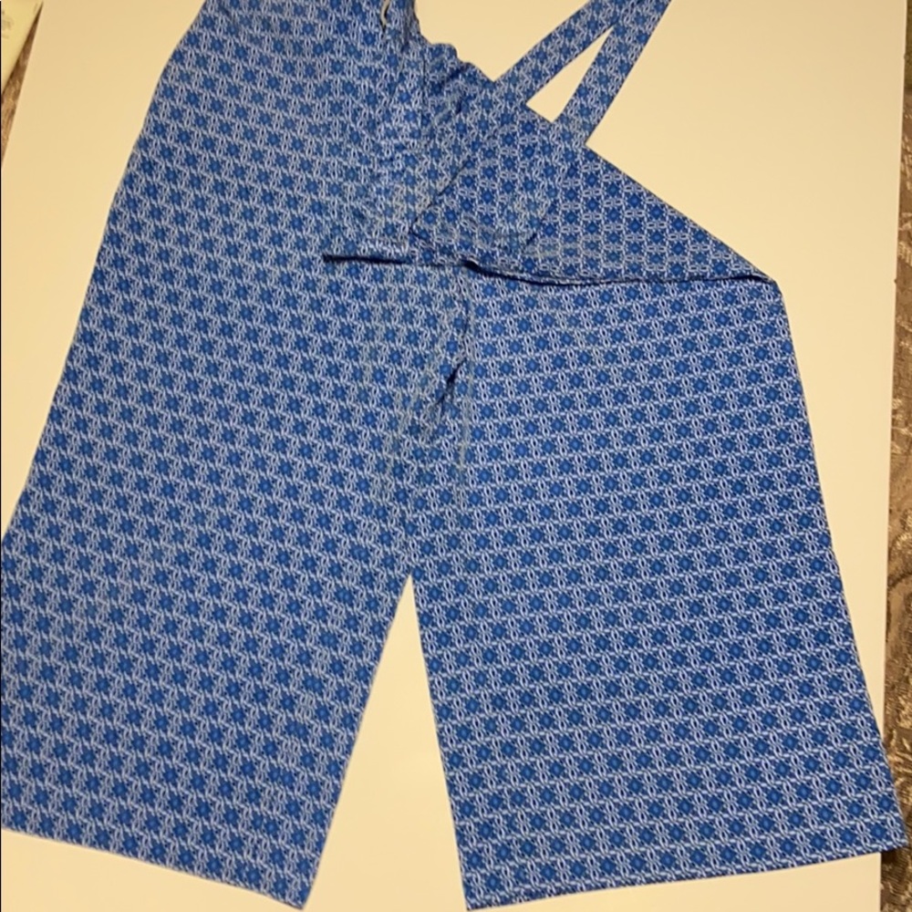 The Limited Plazzo Pants in blue print